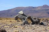 BOLIVIA 2 - On the road to Salar - 7